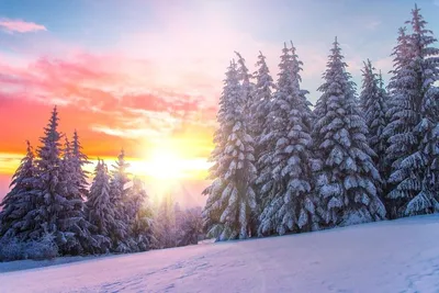 Зимнее солнцестояние 2021 — что нельзя делать сегодня, ритуалы, приметы,  открытки