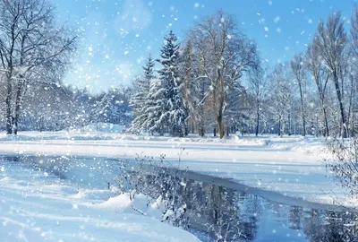 Картинки по запросу зимние пейзажи фото на рабочий стол | Landscape  wallpaper, Winter landscape, Landscape