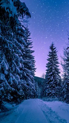 Красивые картинки зимние на телефон (42 фото)