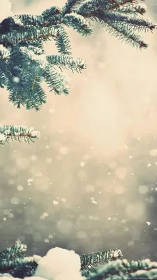 Обои на телефон дерево, зима, снег, заснеженный, зимний - скачать бесплатно  в высоком качестве из категории \"Природа\"