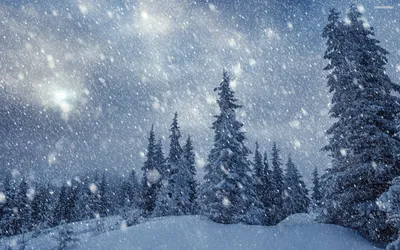 Зимние картинки падают снежинки фотографии