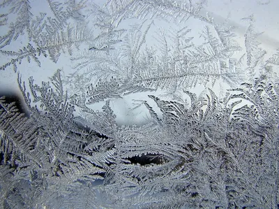 Рисунок Рисунок на окне Зимние забавы №192469 - «Зимняя сказка» (06.02.2024  - 14:37)