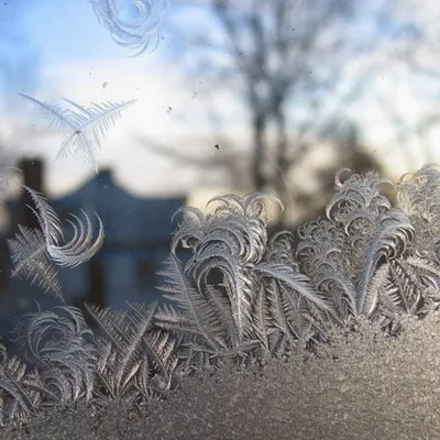 Рисуем на окнах зимние узоры и не только: Персональные записи в журнале  Ярмарки Мастеров