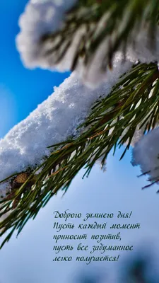 Доброе зимнее утро пятницы - новые открытки (37 ФОТО) | Зимние картинки,  Кошачьи, Открытки