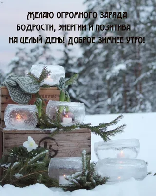 добрый зимний день юмор позитив｜Поиск в TikTok