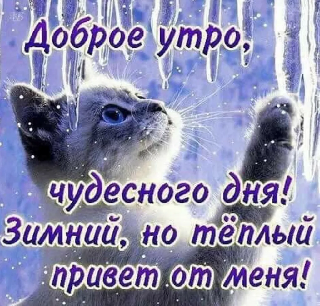 С Днем Зимы Картинки Доброе Утро