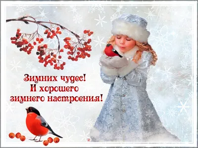 Скетчбук с черными листами «Зимних чудес», А5, 40 листов — купить в  интернет-магазине по низкой цене на Яндекс Маркете