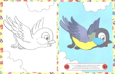 Раскраска Птицы в кормушке | Раскраски зима для детей распечатать, скачать