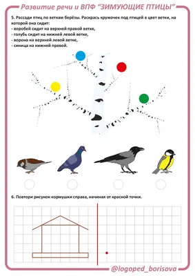 Иллюстрация 1 из 13 для Демонстрационные картинки Зимующие птицы, 16  картинок | Лабиринт - книги. Источник: Лабиринт