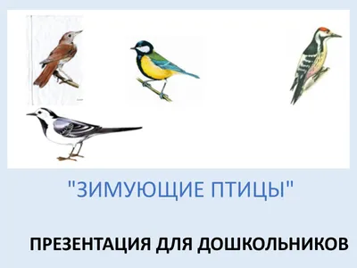 Зимующие птицы | Раскраски, Рисунки животных, Шаблон в виде птицы