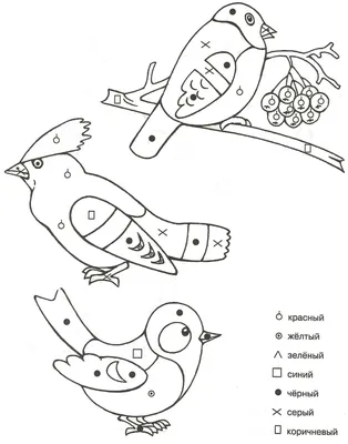 Calaméo - Зимующие птицы. Подготовительная группа