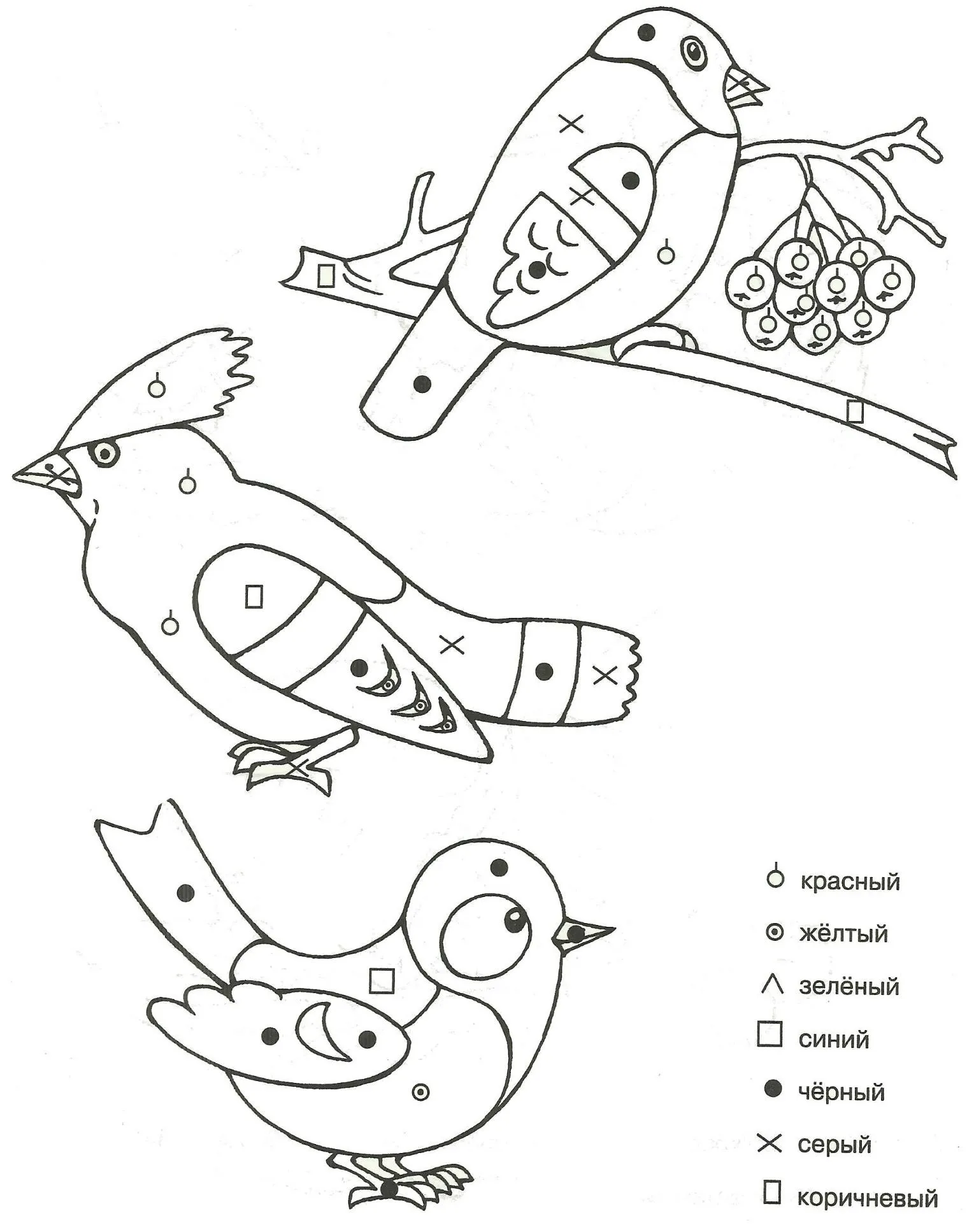 Задания про птиц. Раскраски зимующие птицы для детей 3-4 лет. Раскраски зимующие птицы для детей 4-5 лет. Раскраска зимующие птицы для детей 6-7 лет. Птицы задания.