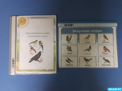 Проект «Зимующие птицы» в группе раннего возраста (18 фото). Воспитателям  детских садов, школьным учителям и педагогам - Маам.ру