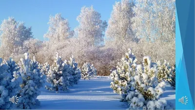 Зимушка-Зима — Фото №27688