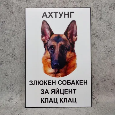 Табличка Осторожно злая собака № 29.1 | AliExpress