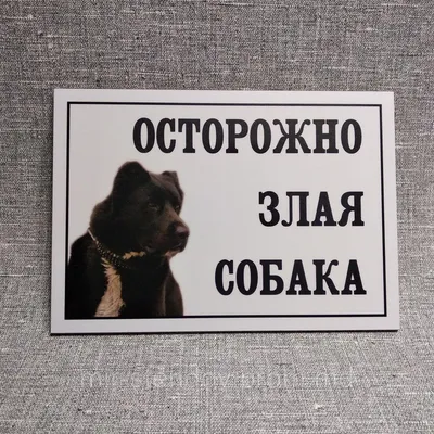 Стоит ли покупать Информационная табличка \"Злюкен собакен\" 270x190 мм из  пластика 3 мм (Ф)? Отзывы на Яндекс Маркете