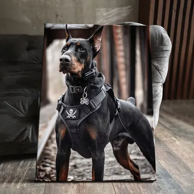 Картина на холсте \"Собака доберман (черный злой)\" 40x60 см. - купить по  низкой цене в интернет-магазине OZON (767435094)