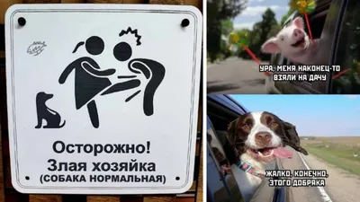 Злые картинки с надписью фотографии