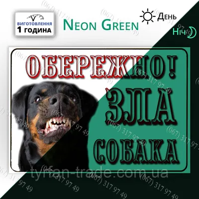 Злой мужчина держит плакат с текстом, НАМ НУЖНЫ ИЗМЕНЕНИЯ на цветном фоне  :: Стоковая фотография :: Pixel-Shot Studio