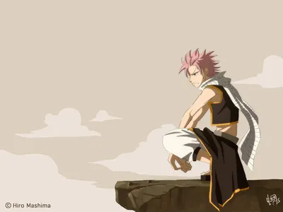 Близнецы | Fairy Tail Wiki | Fandom