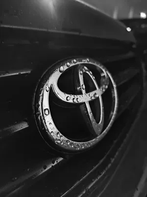 MyAuto Эмблема для Toyota/Знак на Тойота/значок/шильдик на Toyota/на:  перед/зад/капот/крышку багажника/руль