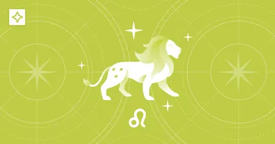 Лев – характеристика знака зодиака, описание характера мужчины, женщины и  детей знака Лев – Рамблер/гороскопы