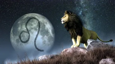 Знак зодиака Leo Женщина едет лев Иллюстрация вектора - иллюстрации  насчитывающей лео, космос: 122482421