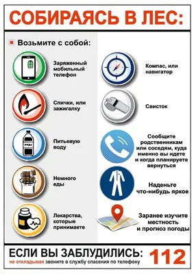 Правила безопасности при походе в лес - Новости - Главное управление МЧС  России по Тверской области