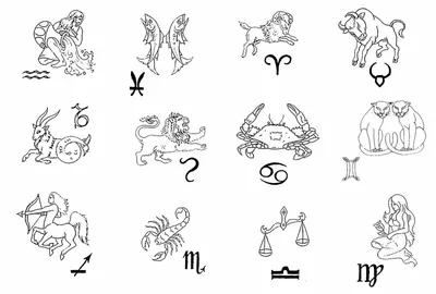 Скорпион (знак зодиака): характеристика, описание, особенности характера  мужчины, женщины и ребенка, совместимость