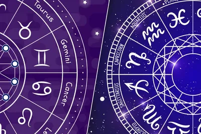 Знаки Зодиака Астрология - Бесплатная векторная графика на Pixabay - Pixabay