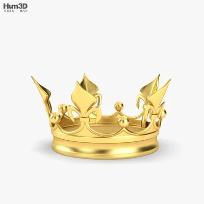 Золотая Корона для мужчин, корона для вечеринки, выпускной, корона, мужская  Королевская корона, декор в стиле стимпанк, Ретро Корона, корона, корона,  мужские винтажные шляпы | AliExpress
