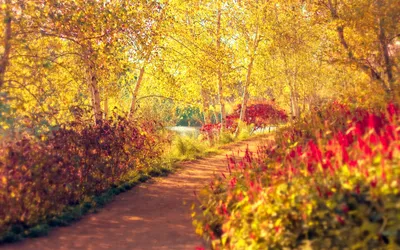 Участвуем в конкурсе\"Мисс золотая Осень\". Наши девушки самые красивые | Дом  Культуры Гагаринский | Дзен