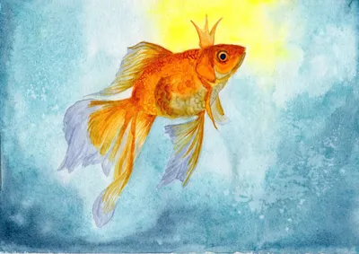 Как нарисовать золотую рыбку из сказки - 21 фото