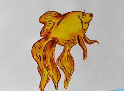 Рыбка... Золотая | Пикабу