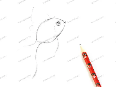 Урок рисунка. Золотая рыбка. Акварель. - YouTube