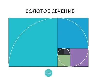 Золотое сечение в дизайне, искусстве и природе | Canva