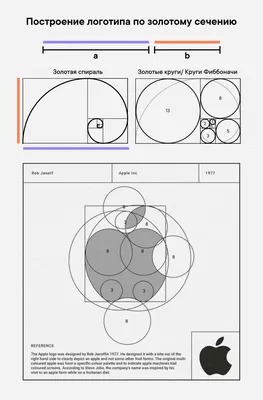 7 примеров золотого сечения в логотипах, веб- и графическом дизайне
