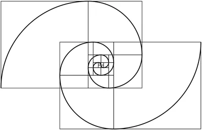 Золотое сечение в дизайне — Константин Кучеренко на TenChat.ru