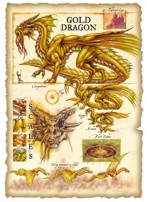 Брошь золотой дракон в магазине «Accessories by Belova» на Ламбада-маркете