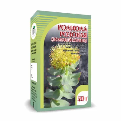 Родиола (Золотой корень) - купить лечебные травы недорого в  интернет-магазине «Травы Горного Крыма»