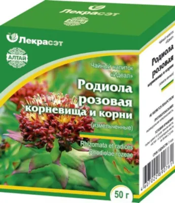 Родиола (Золотой корень) - купить лечебные травы недорого в  интернет-магазине «Травы Горного Крыма»