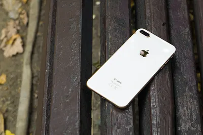 Купить Apple iPhone 11 Pro 64 ГБ золотой в СПб самые низкие цены, интернет  магазин по продаже Apple iPhone 11 Pro 64 ГБ золотой в Санкт-Петербурге