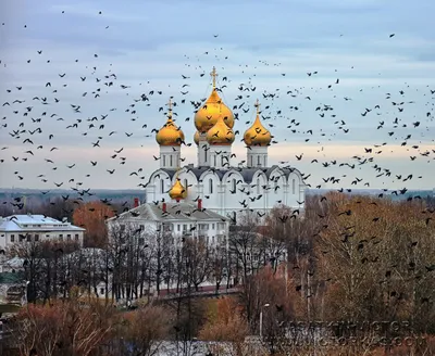 Христианский храм золотые купола. Православная церковь осень желтые деревья  Stock-Foto | Adobe Stock