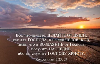 80 Библейские стихи о послушании - DailyVerses.net