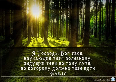 Золотой стих Библии. Пустая вера людей, пустые доводы атеистов и самое  главное о жизни верующего - жизнь с живым Богом. | Дитя Бога | Дзен