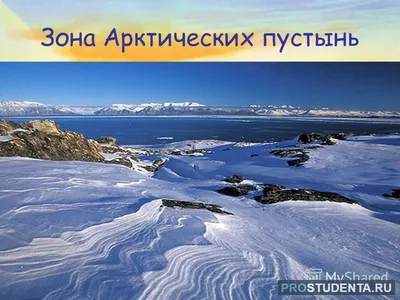 Зона арктических пустынь - 72 фото