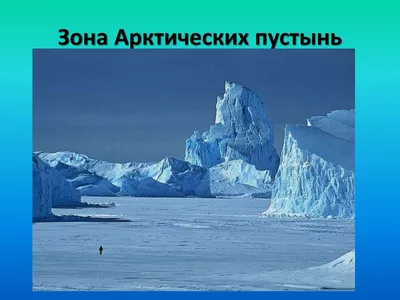 Арктическая пустыня — Википедия
