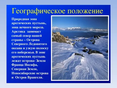 Растения арктических пустынь России - 78 фото