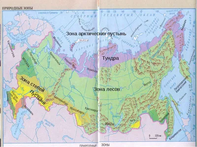 Природные зоны России. Зона арктических пустынь. Тундра - YouTube