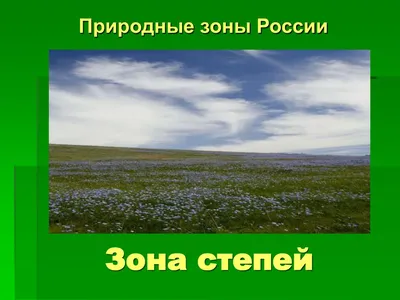 48—4. Биом степей умеренной зоны: Продуценты